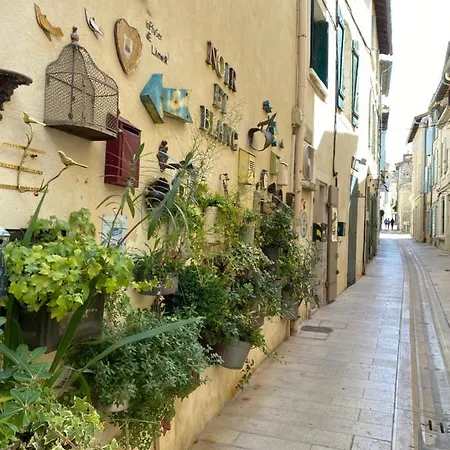 Le Loft Duplex, 2 Terrasses, Au Coeur Du Village * Saint-Remy-de-Provence